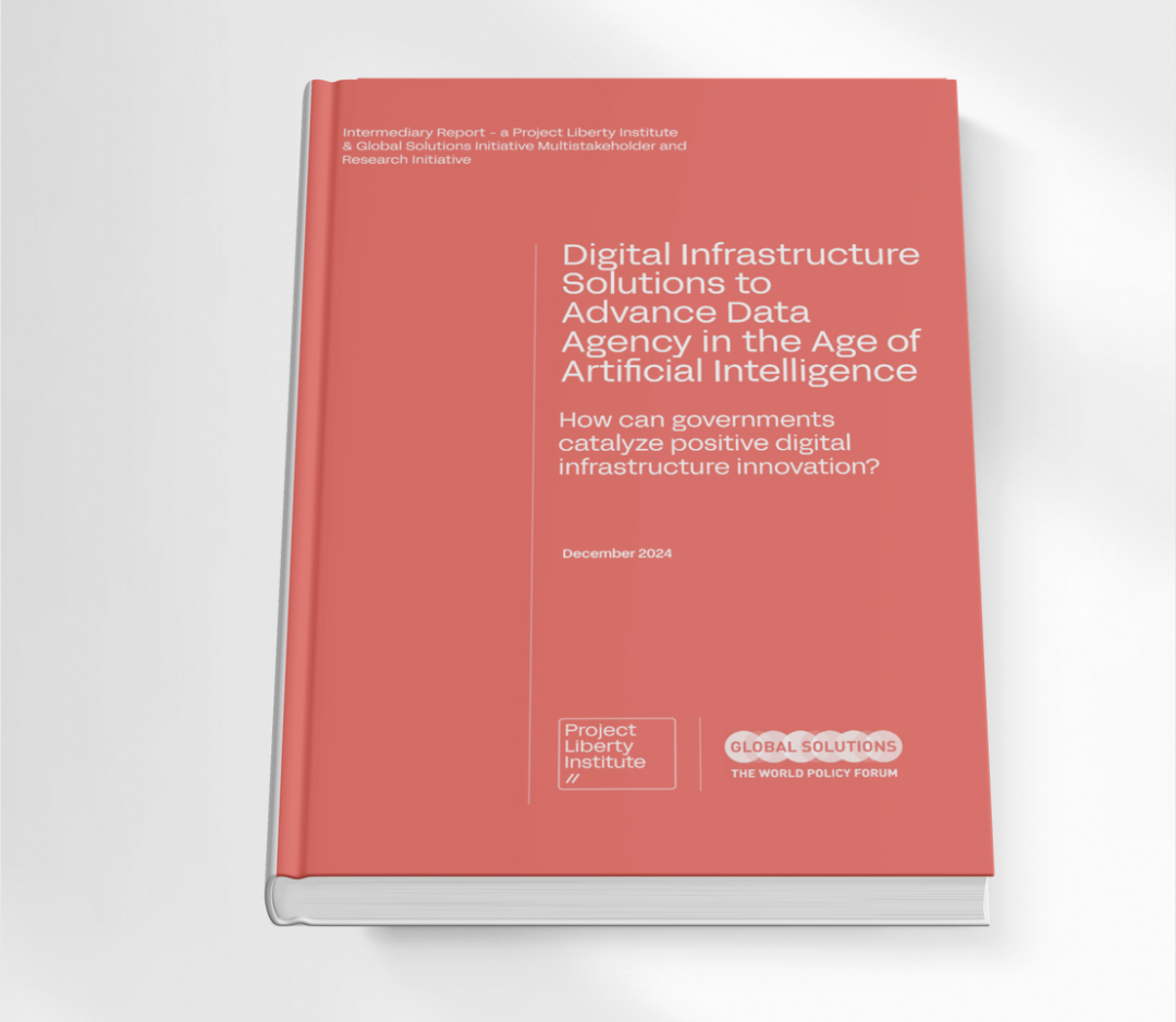 Image from the report: Digital Infrastructure Solutions to Advance Data Agency in the Age of Artificial Intelligence